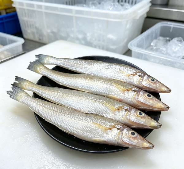 Fresh Whole Sardines